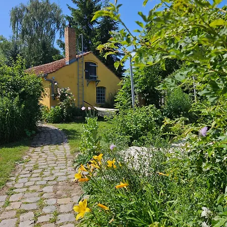 Am Rosenbusch * Garz (Usedom)